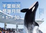 「千葉県民は６月中ずっと鴨シーがお得に！　そして県民の日は中学生以下が入館無料」の画像1