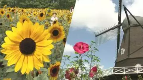 千葉・船橋アンデルセン公園で夏の花々見頃　「この季節ならではの景色楽しんで」