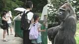 「台風接近のお盆休み　家族連れが「近場」で思い出作り　千葉市動物公園」の画像1
