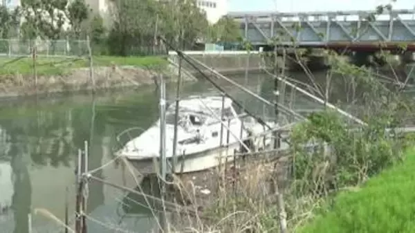 沈没船に雑草が生い茂る船も　“水上の駐車違反”　千葉県内で１７００隻超