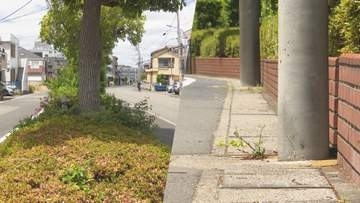 なぜ市境に“ベルリンの壁”？浦安と市川を隔てる５００メートル花壇に賛否　千葉