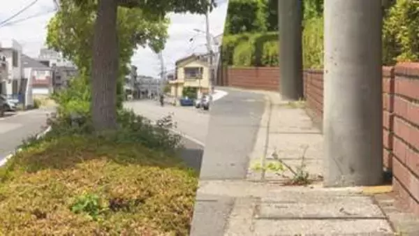 なぜ市境に“ベルリンの壁”？浦安と市川を隔てる５００メートル花壇に賛否　千葉