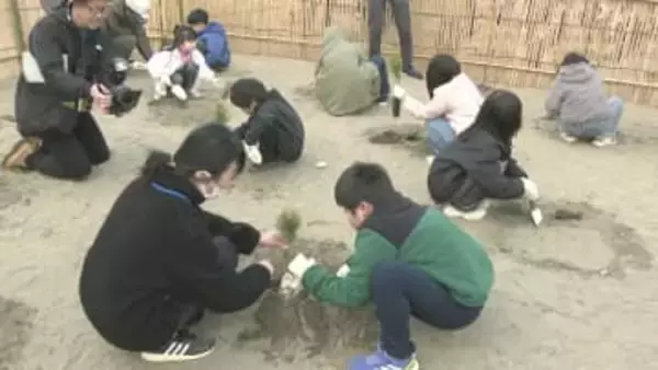 東日本大震災で被害受けた旭市の保安林　子どもたちが２５０本のクロマツを植樹