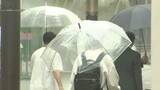 「ことしの梅雨入り・梅雨明け　関東甲信は平年並みか　雨の季節に備え事前対策を」の画像1