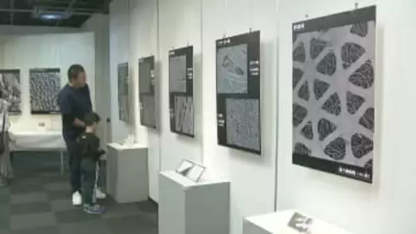 「こんなに見えちゃうの？」　顕微鏡などで拡大された世界を覗く企画展　千葉市