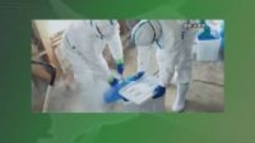 鳥インフル陽性受け処分完了　ウズラ農場で約10万9000羽　千葉・旭市