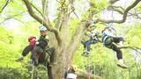 「“木と友達になって”千葉・松戸の総合公園でツリークライミング」の画像1