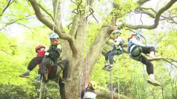“木と友達になって”千葉・松戸の総合公園でツリークライミング