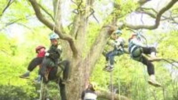 “木と友達になって”千葉・松戸の総合公園でツリークライミング