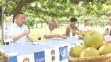 「千葉・白井市でナシ試食会　全国有数の産地　「ジュースのようにみずみずしい」」の画像1