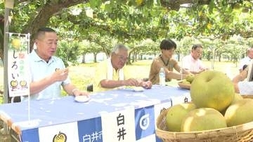 千葉・白井市でナシ試食会　全国有数の産地　「ジュースのようにみずみずしい」