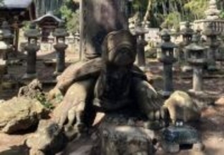 NHK朝ドラ「ばけばけ」で注目、松江の大ガメ像が倒壊の危機