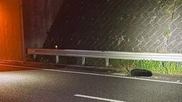 広島の高速で熊との衝突事故相次ぐ、はねた時の対処は？