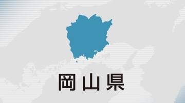 強い毒を持つ南米原産のヒアリ　倉敷で3100匹確認　岡山県が発表