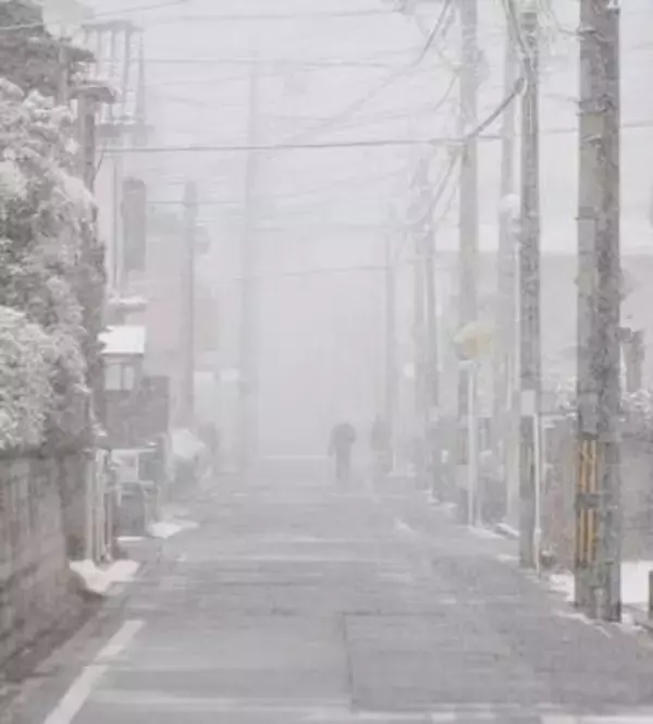 元歯科医師の転落　常習窃盗、出所8日で4回目の万引　大雪に埋もれた更生の道