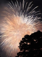 岩国の「くすのき花火」休止へ　人気で来場者増え運営限界