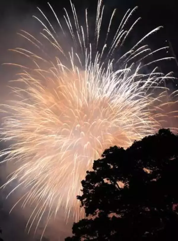 岩国の「くすのき花火」休止へ　人気で来場者増え運営限界