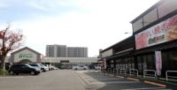 フジ、新規出店は小型ショッピングセンターが軸　大型店は出店せず