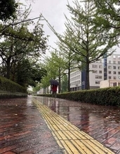 大雨の影響、呉の二河川の水位上昇　高齢者避難発表
