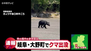 岐阜・大野町でクマ出没　寺の境内を歩き回る　けが人なし