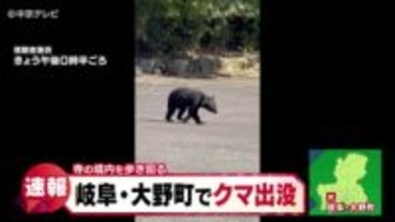 岐阜・大野町でクマ出没　寺の境内を歩き回る　けが人なし