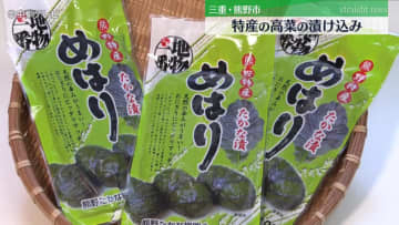特産の高菜の漬け込み　三重・熊野市