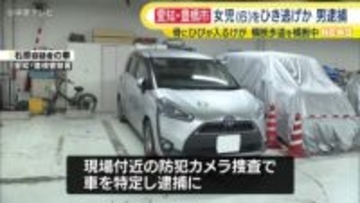 愛知・豊橋市で女子児童(６)をひき逃げか　男（79）を逮捕　児童はすねの骨にひびが入るケガ