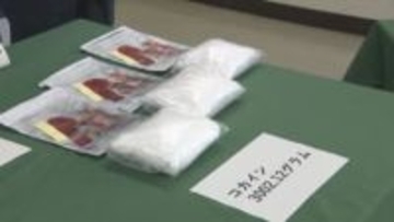 ブラジルから1億5000万円相当のコカイン密輸入しようとしたか　ブラジル国籍の男を告発