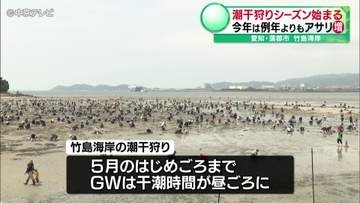 潮干狩りシーズン始まる　今年は例年よりもアサリ増　愛知・蒲郡市 竹島海岸