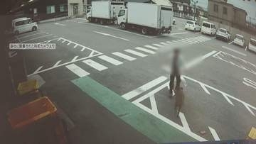 イノシシが男性追いかけまわし…2人がかまれるなどしてけが　体長1mほどの成獣　約700メートル先で捕獲　愛知・豊田市