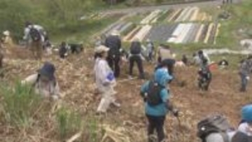 毎年恒例「つちのこ」本気捜索　賞金は１３４万円　岐阜・東白川村