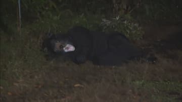 “クマ出没”を想定し訓練　「緊急銃猟」の手順など確認　岐阜・白川村