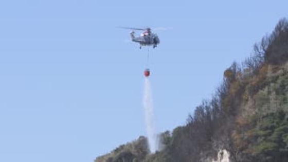 「山が燃えている」 海岸付近の山林で火災　約20時間経過も鎮火に至らず　愛知・豊橋市
