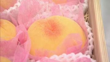 初競りで2箱35万円　希少な黄桃「黄美娘（きみこ）」　去年よりも5万円高値　愛知・豊田市