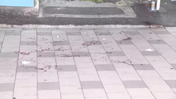 フィリピン国籍の男子中学生(14)を家裁に送致　殺人未遂の疑いで先月逮捕　名古屋地検