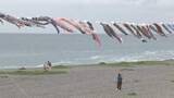 「大海原をバックに250匹のこいのぼり泳ぐ 三重・熊野市七里御浜海岸」の画像1