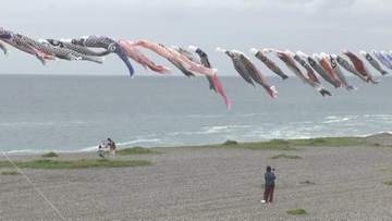 大海原をバックに250匹のこいのぼり泳ぐ 三重・熊野市七里御浜海岸