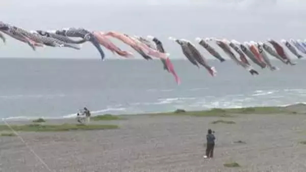 大海原をバックに250匹のこいのぼり泳ぐ 三重・熊野市七里御浜海岸