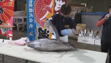 おわせ魚まつり　“もっと魚の魅力を知ってほしい”　三重・尾鷲市