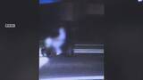 「【動画】警察に生卵を投げつけた疑い　少年6人を逮捕　仲間内で「ポリスと鬼ごっこ＝ポリオニ」と呼んで犯行か　愛知・春日井市」の画像1