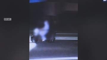 【動画】警察に生卵を投げつけた疑い　少年6人を逮捕　仲間内で「ポリスと鬼ごっこ＝ポリオニ」と呼んで犯行か　愛知・春日井市