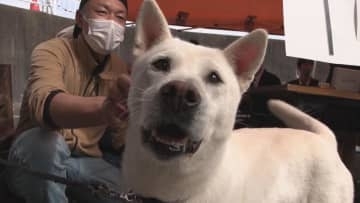 天然記念物の紀州犬　魅力を知ってもらおうと高校生がイベント開催　三重・御浜町