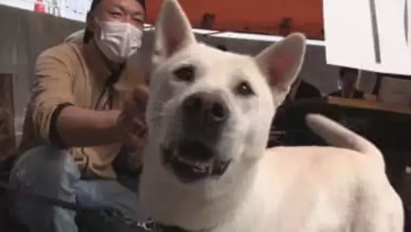 天然記念物の紀州犬　魅力を知ってもらおうと高校生がイベント開催　三重・御浜町