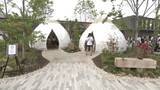 「【大阪・関西万博】“使い終わると森になる建物”から“CO2を吸収する装置”まで　未来を変える「地球沸騰化」対策の技術が集結！」の画像1