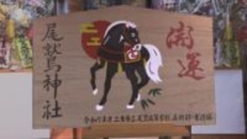 尾鷲神社で干支大絵馬の奉納式　地元の高校生が制作　縁起が良いとされる「黒馬」に「開運」の文字