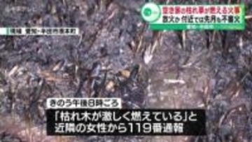 【放火か】空き家の枯れ草などが燃える火事　付近では3月にも不審火　愛知・半田市