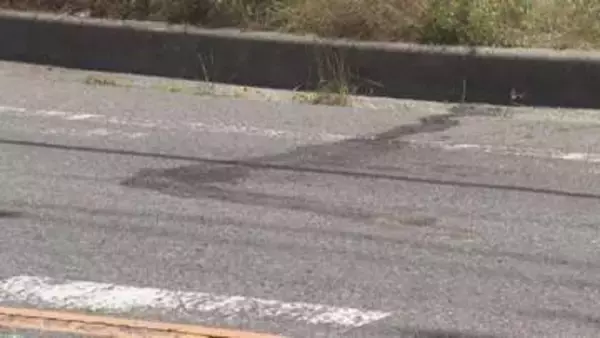 自転車に乗っていた女性が車にひき逃げされ死亡　愛知・知立市