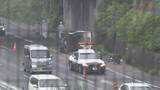 「「トラックが国道に落下した」中型トラックが高架の道路から滑り落ちる　運転していた男性が重傷　名古屋・緑区」の画像1