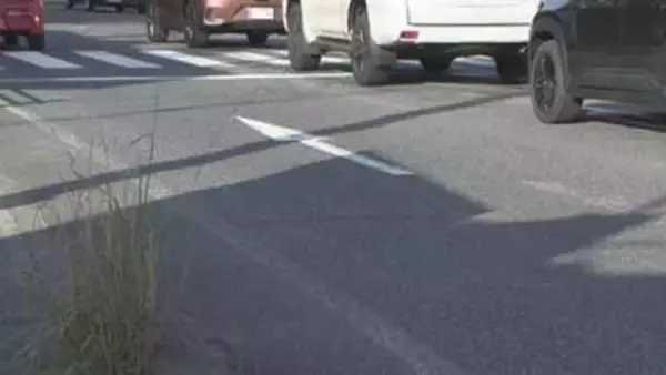 道路に横たわっていた男性と介抱していた男性はねられる　1人死亡・1人重体　愛知・豊明市