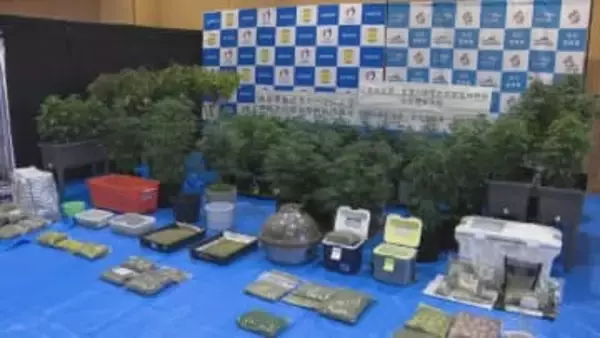 営利目的で大麻を所持か　三重・志摩市の夫婦を逮捕　三重県で過去最大の１０キロ以上の乾燥大麻を押収　組織的犯行とみて捜査